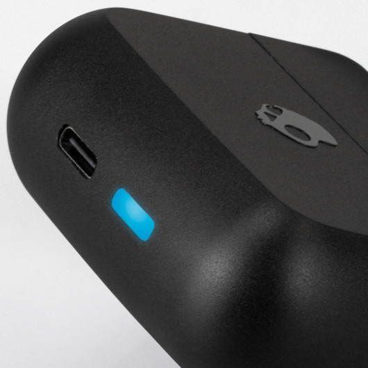 Skullcandy Mod Wireless Earbuds Port